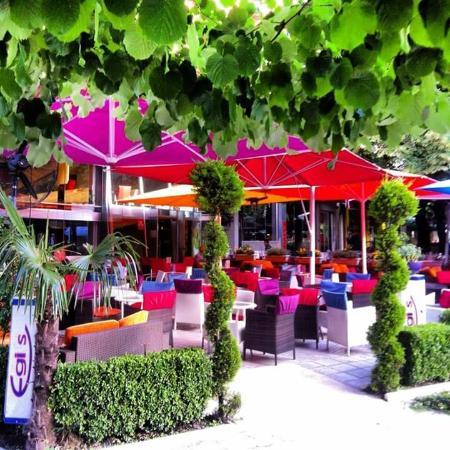 Bar Egis